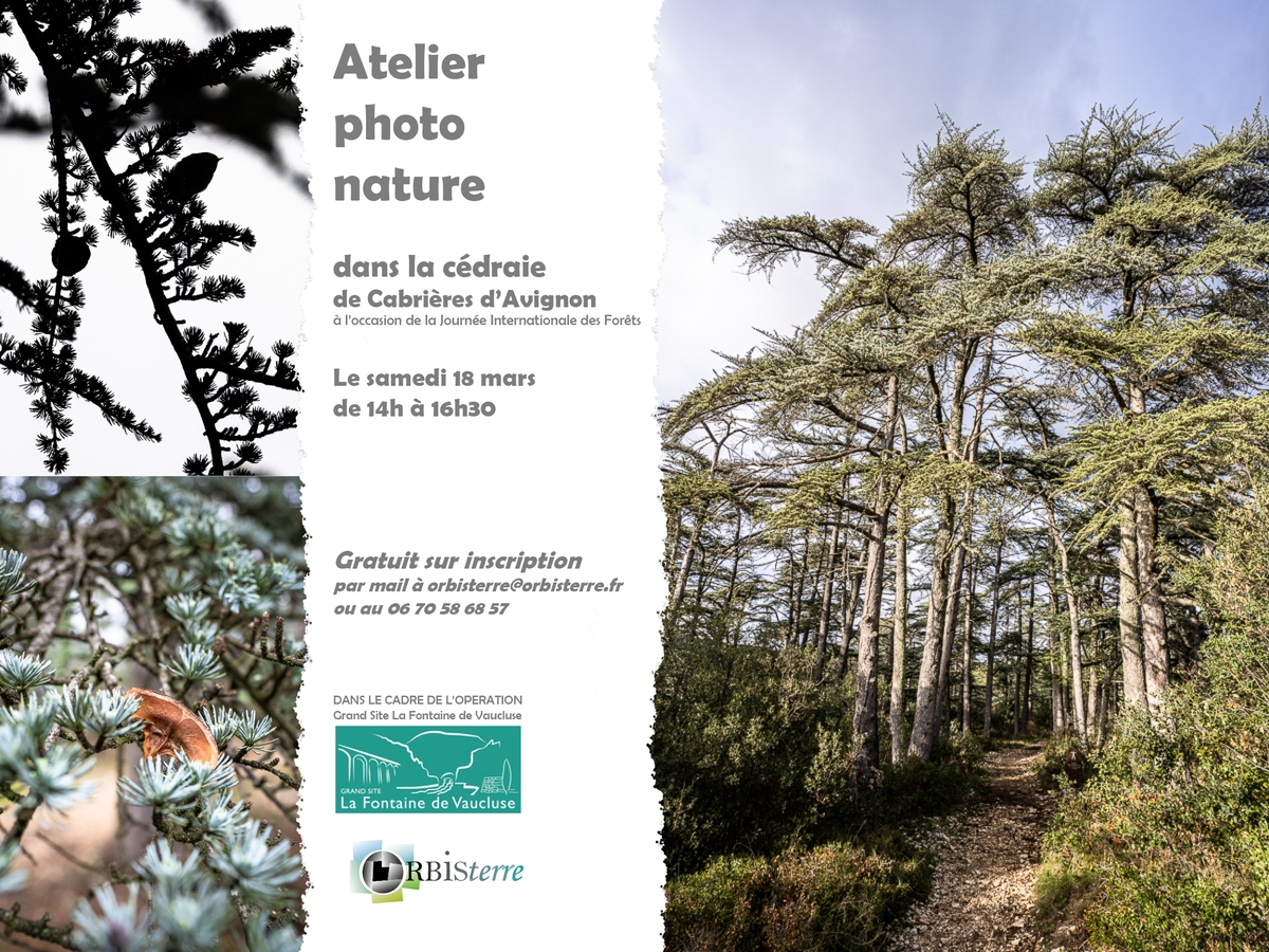 Atelire Photo nature